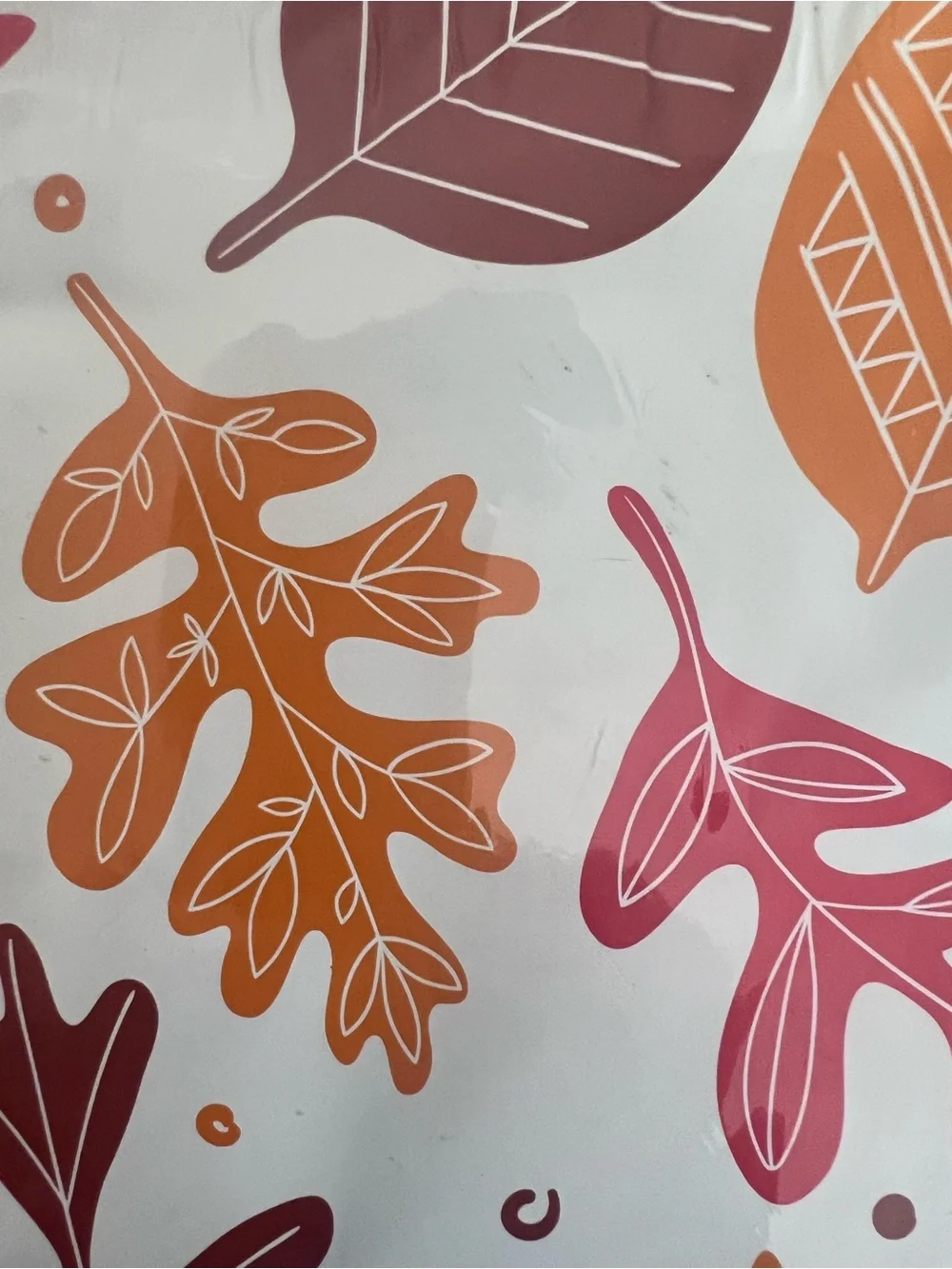 ‘Thankful For You’ Fall Poly Bundle. 6x9 Polys, 4x6 Notecards & 1” Stickers